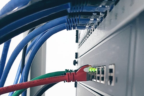 Closeup of Network cables plugged into server