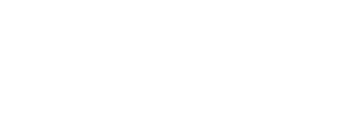 Physicians Insurance logo